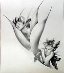 LO QUE QUEREMOS LOS HOMBRES